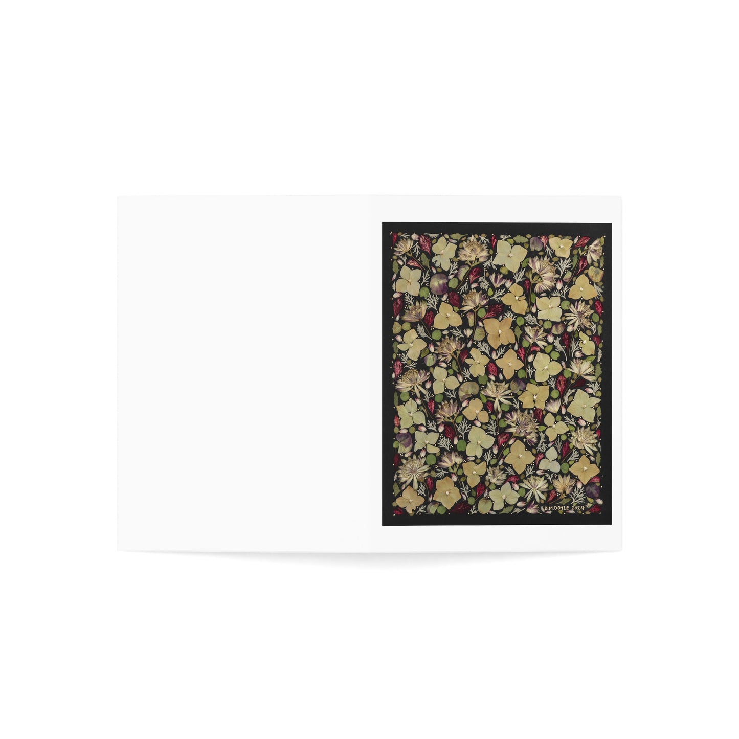 The Class Favorite -Greeting Cards (1, 10, 30, and 50pcs)