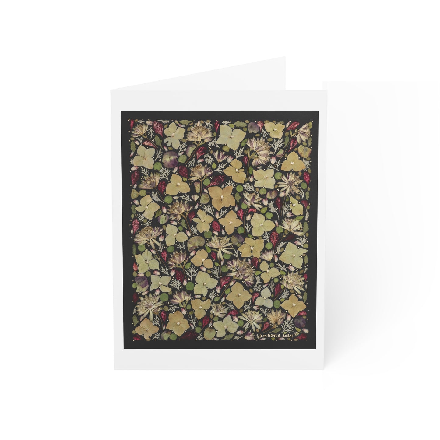 The Class Favorite -Greeting Cards (1, 10, 30, and 50pcs)
